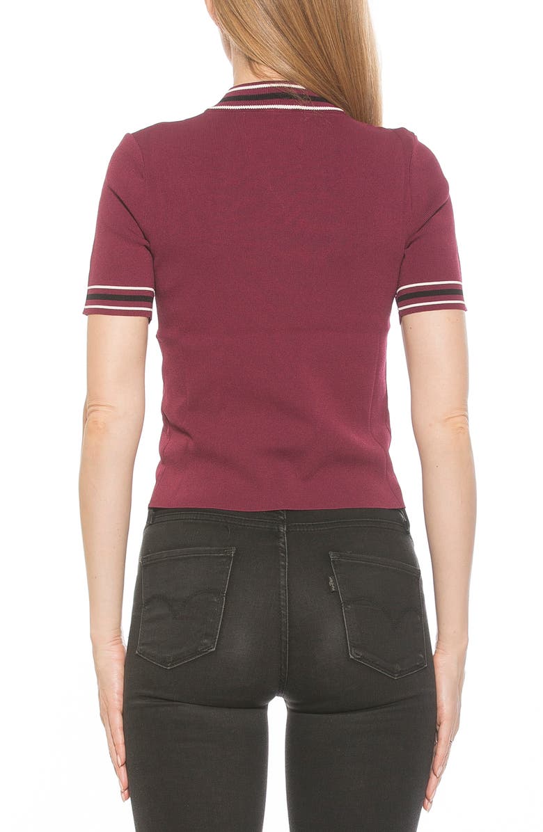 Alexia Admor Phoebe Short Sleeve Turtle Neck Sweater, Alternate, color, Burgundy