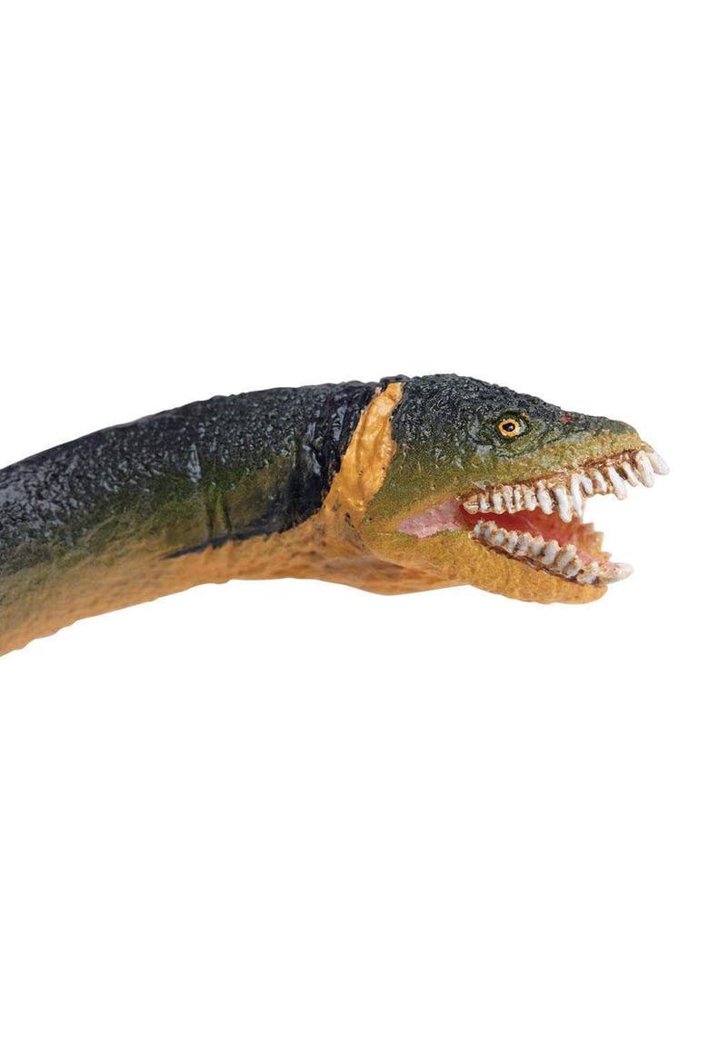 Elasmosaurus Toy, Alternate, color, No Color