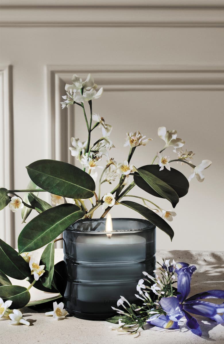 Diptyque Nymphee Merveilles Refillable Scented Candle, Alternate, color, Regular