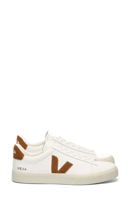Veja Low-top Lace-up Sneakers Urca Cwl In Multi