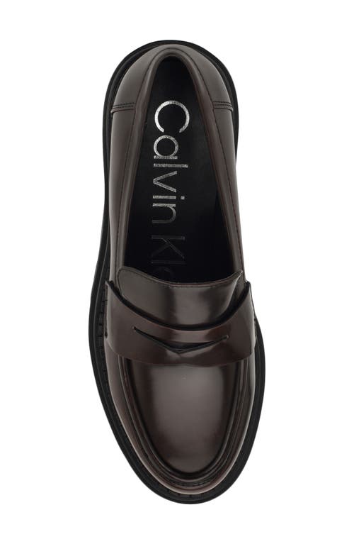 Calvin Klein Grant Lug Sole Penny Loafer In Brown