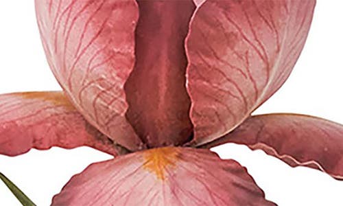 Juliska Meadow Walk Iris 9 Candlestick In Pink