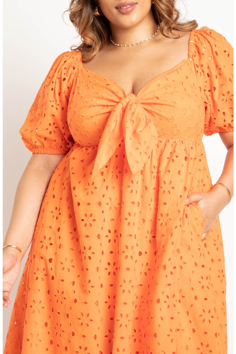 Eyelet Tie Front Maxi Dress, Alternate, color, FIRECRACKER