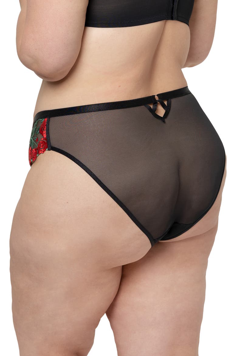 Floral Embroidered Strappy Back Briefs, Alternate, color, ROSE GARDEN EMBROIDE