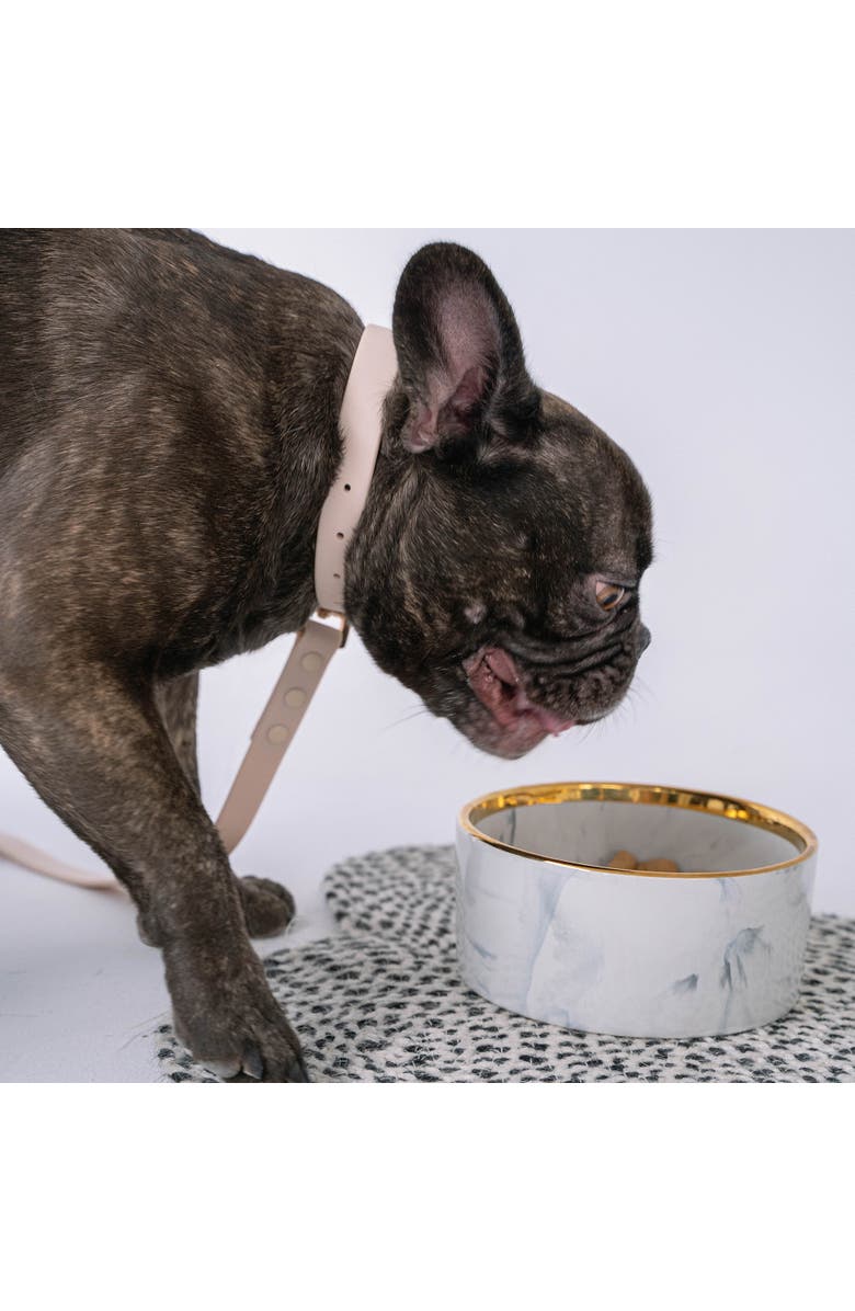 Dexypaws Marble Dog Bowl, Alternate, color, Gray