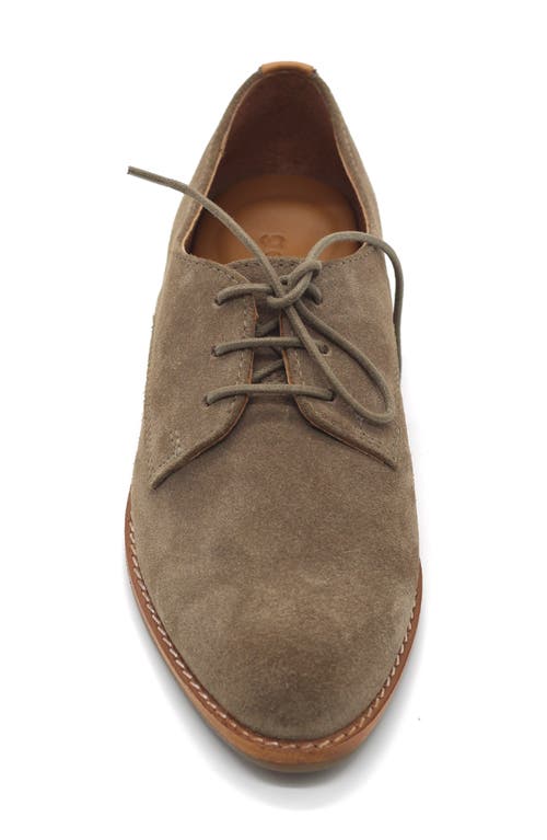 Gentle Souls Aronson Derby In Brown