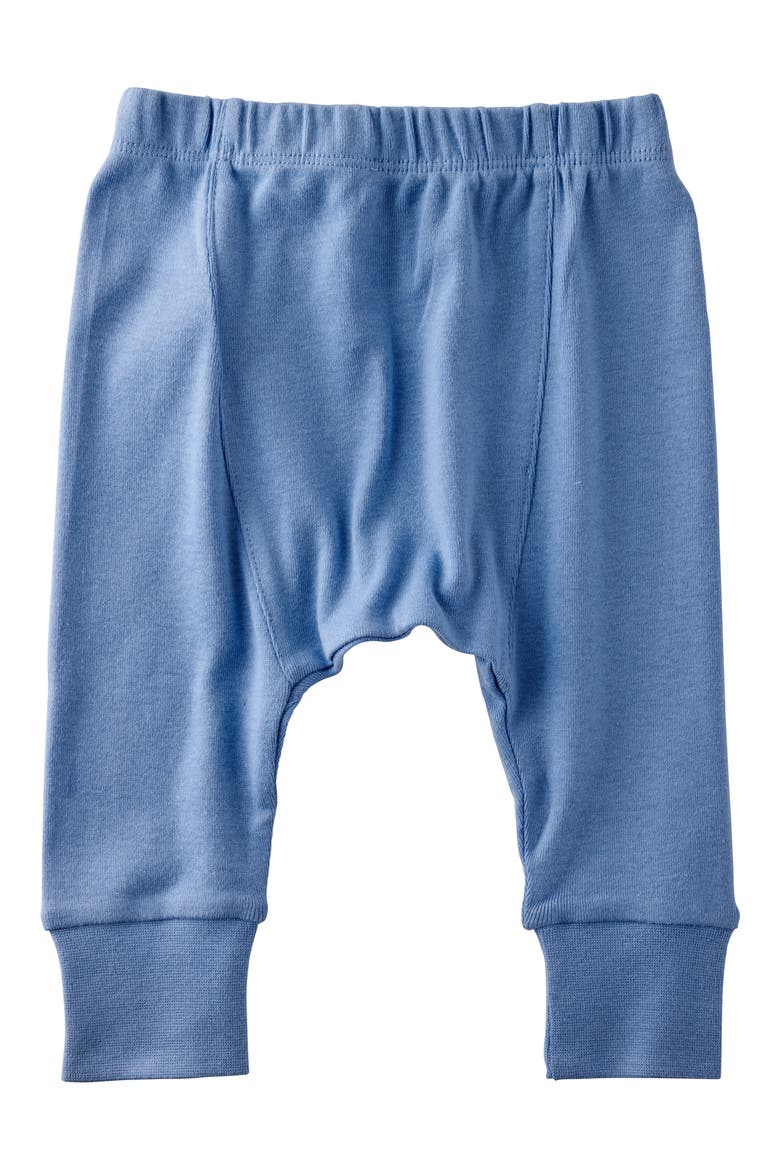 Jordan Assorted 4-Pack Organic Cotton Joggers, Alternate, color, TERRA