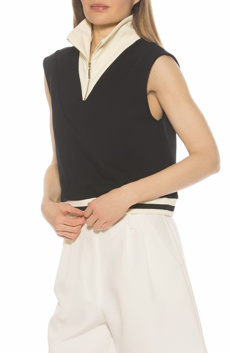 Alexia Admor Denise Collared Top, Alternate, color, Black/ Ivory