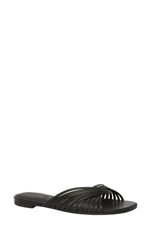 Katy Perry Halie Slide Sandal In Black