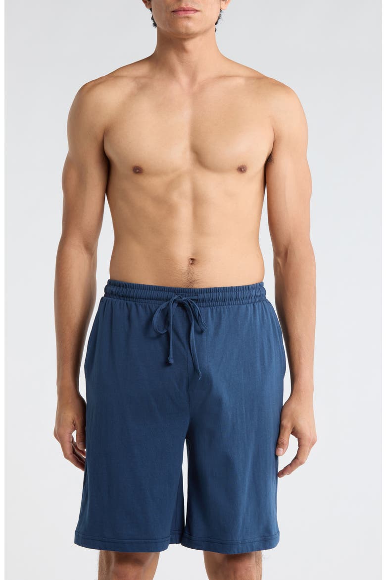 Cotton Jersey Pajama Shorts, Main, color, SKY BLUE