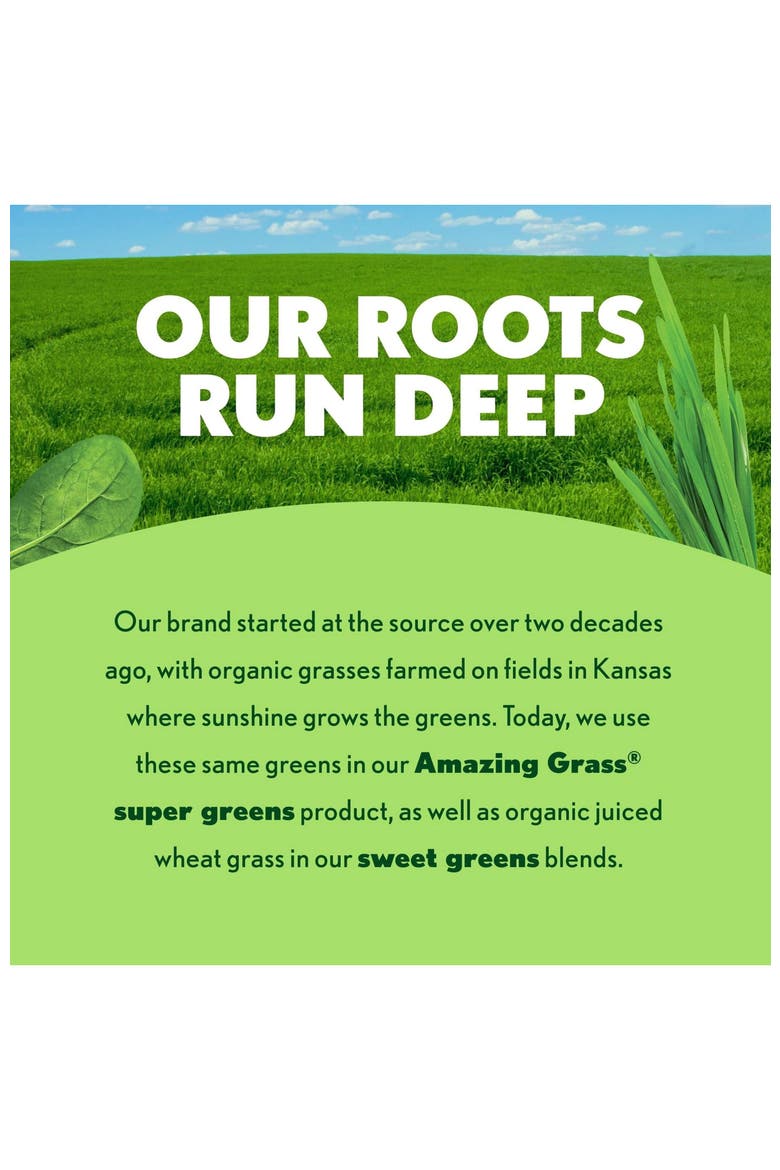Greens Blend Antioxidant Super Greens Powder with Spirulina Beet Root Elderberry Prebiotics Probiotics Sweet Berry, Alternate, color, None