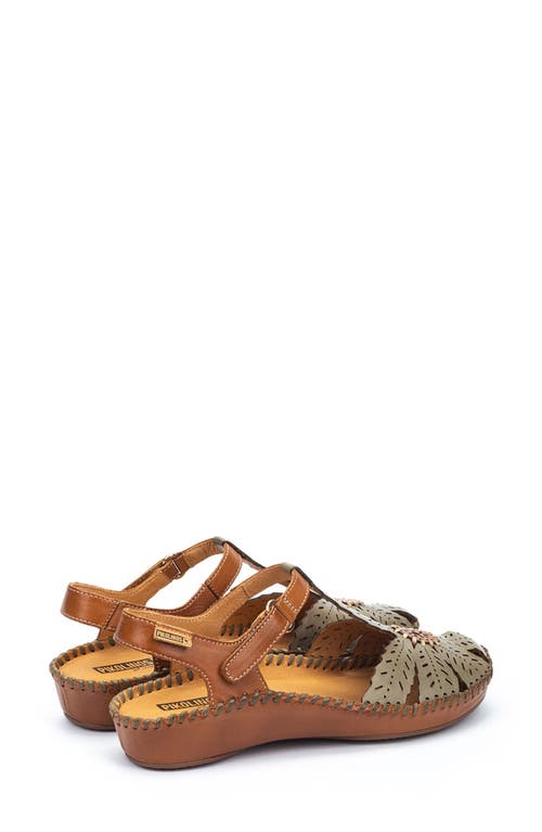 Pikolinos Vallarta T-strap Sandal In Sage