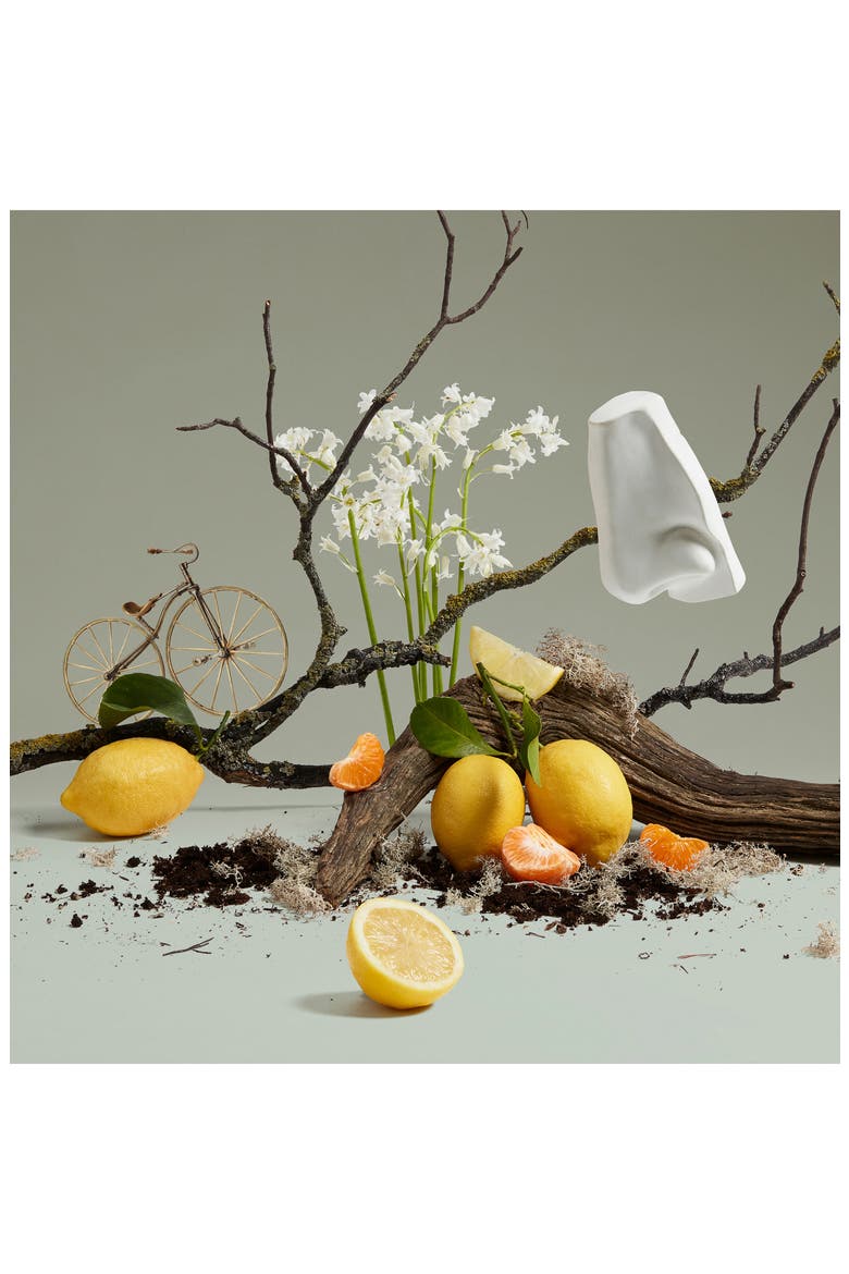 Quercus Eau de Cologne, Alternate, color, NO COLOR