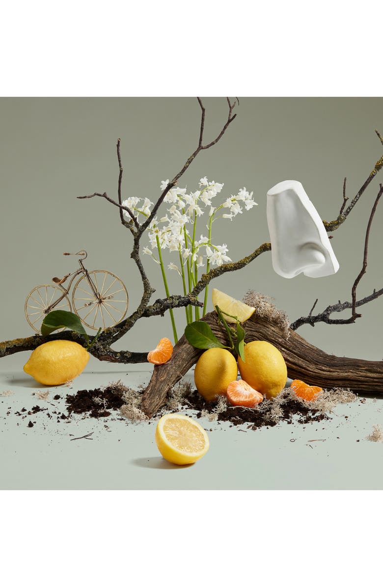 Penhaligon's Quercus Eau de Cologne, Alternate, color,