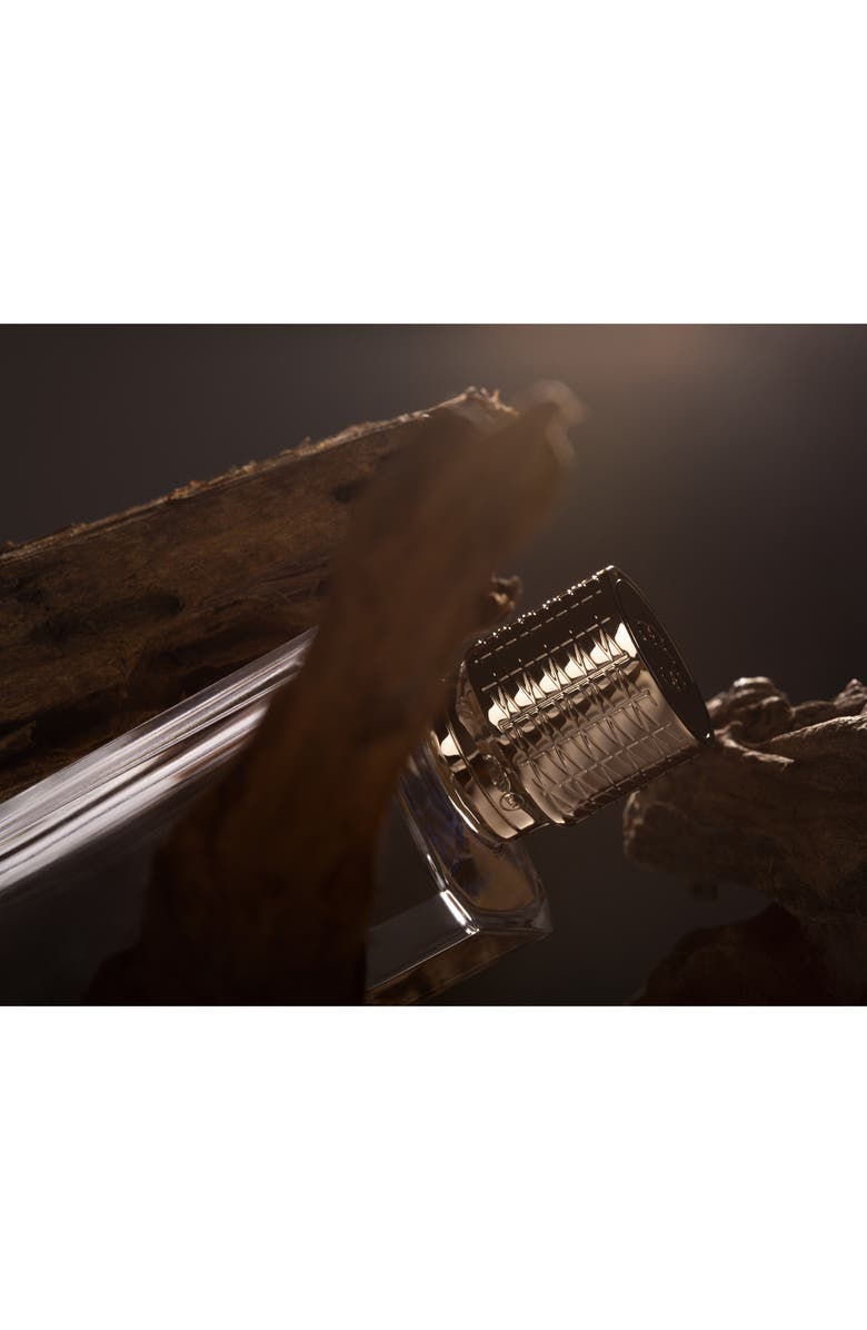 EX NIHILO Santal Calling Eau de Parfum, Alternate, color, 