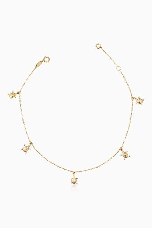 Oradina 14K Yellow Gold Sea Turtle Anklet at Nordstrom, Size 10