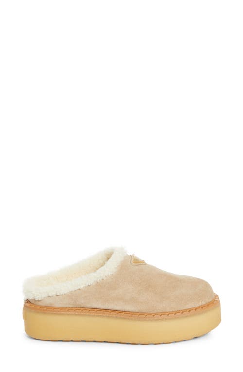 Prada Evolve Genuine Shearling Clog