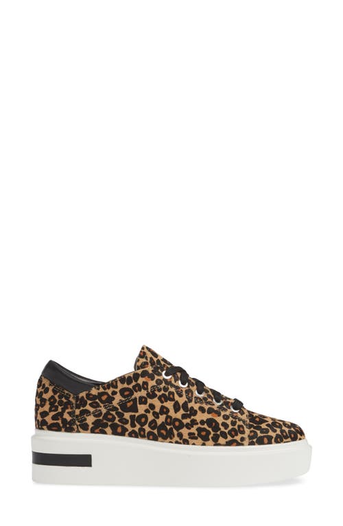 Shop Linea Paolo Kendra Platform Sneaker In Leopard Print Calf Hair