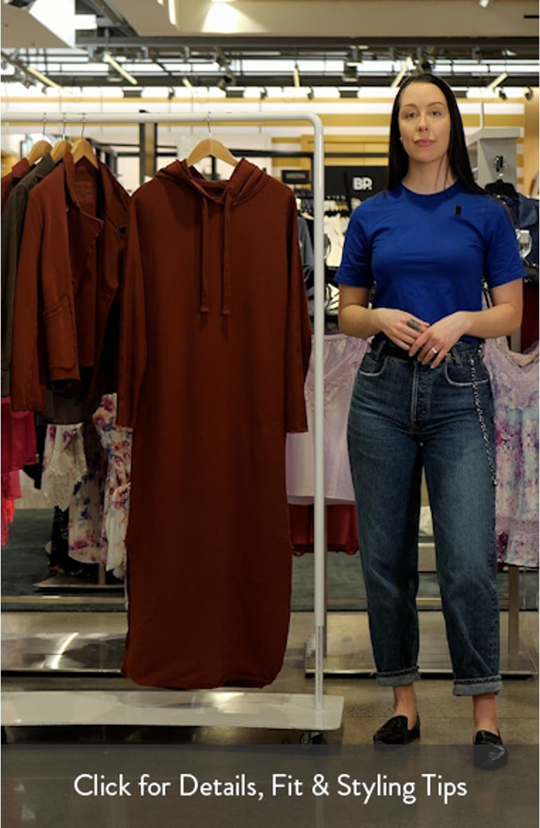 James Long Sleeve Hooded Cape Dress, sales video thumbnail