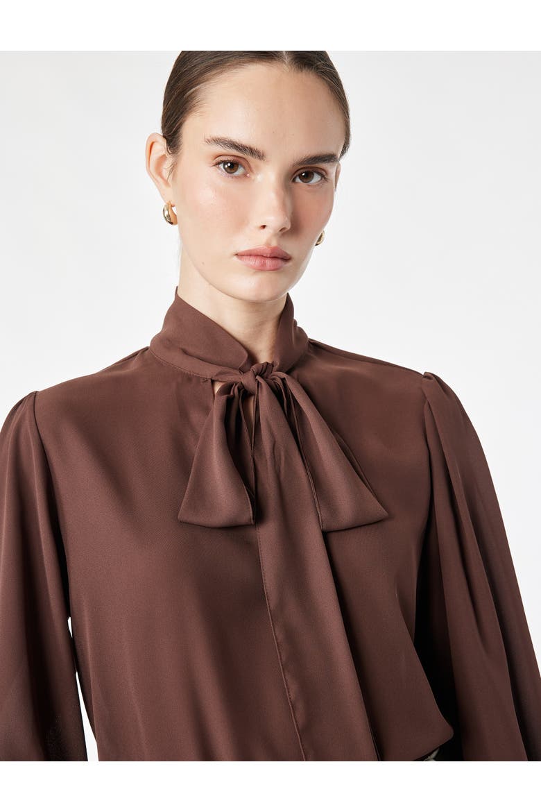 Long Sleeve Blouse, Alternate, color, COFFEE