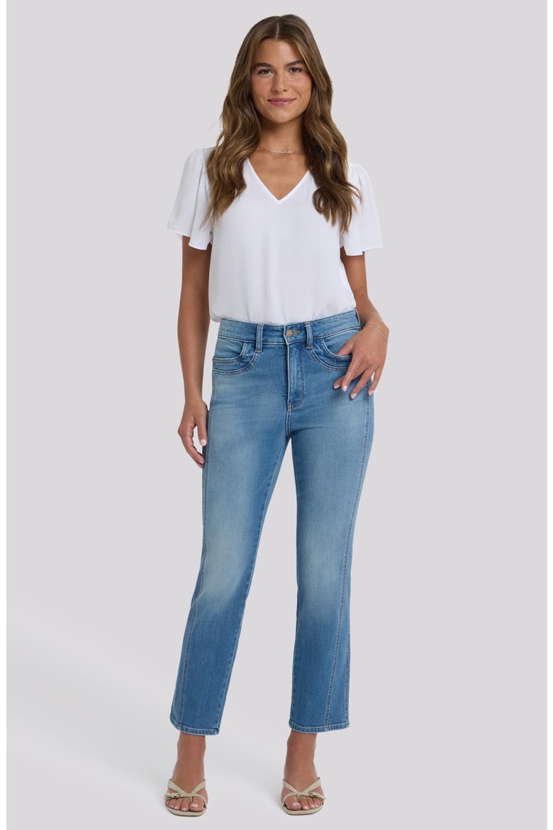 Marilyn Paneled High Waist Ankle Straight Leg Jeans, Alternate, color, PORT SEA