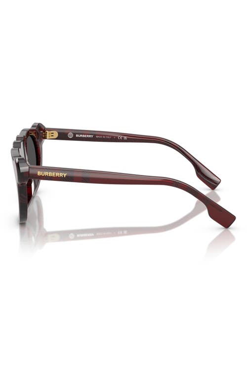 Burberry Kids' 43mm Irregular Sunglasses In Burgundy