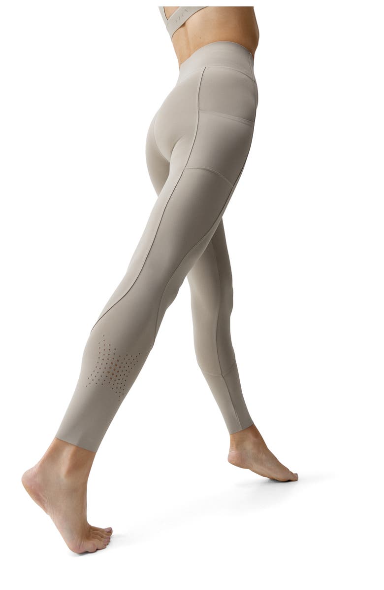 Born Living Yoga Denise Performance High Rise Sport Legging, Alternate, color, Grain