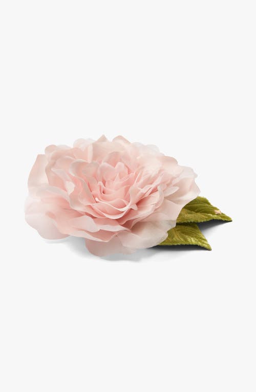 Helena Simon The Small Pale Pink Rose Floral Brooch In Pink