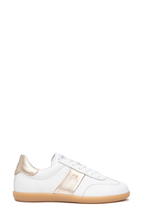 Nerogiardini Low Top Sneaker In Multi