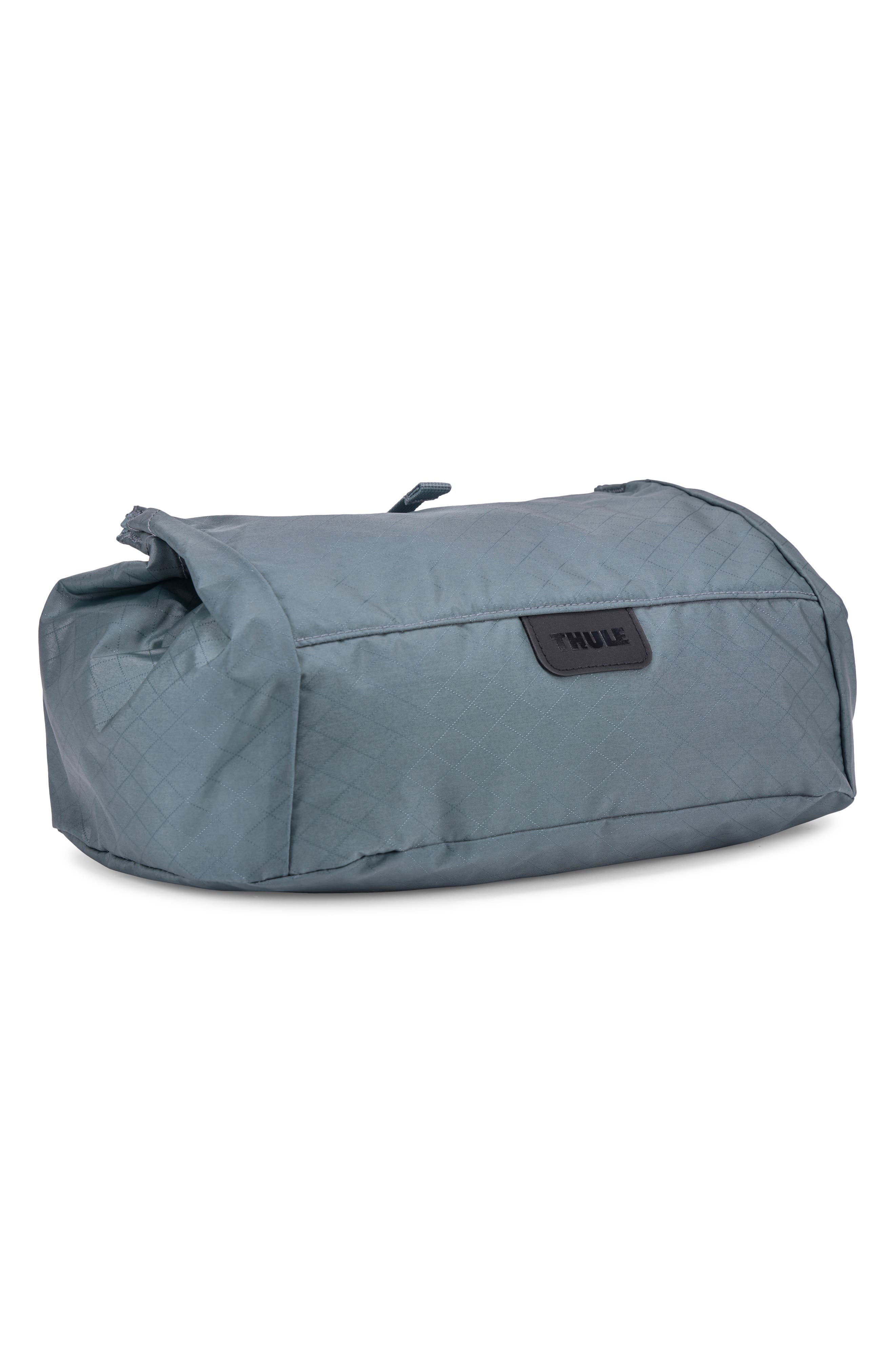 Thule Travel Shoe Bag, Main, color, 