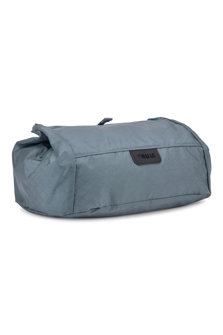 Travel Shoe Bag, Main, color, POND GRAY