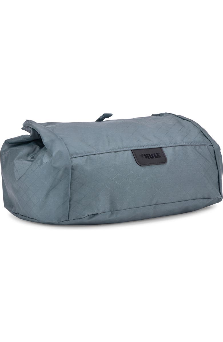 Thule Travel Shoe Bag, Main, color,