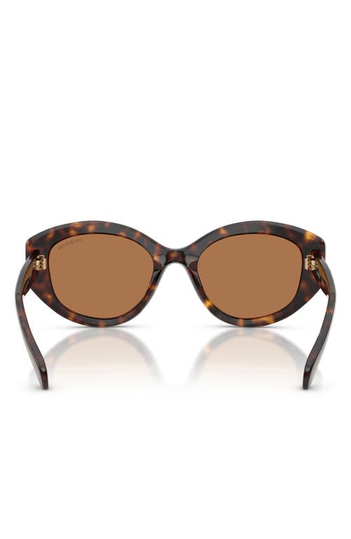 Swarovski 53mm Polarized Round Irregular Sunglasses In Brown