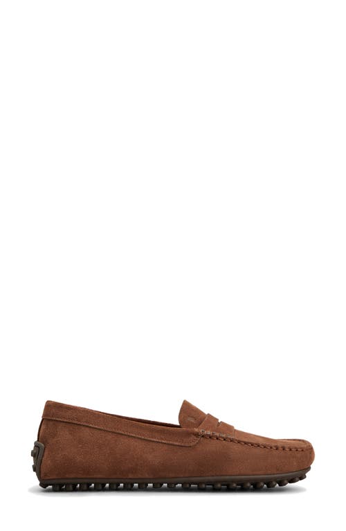 Tod's Gommino Shearling-lined Loafers In Marrone Scuro
