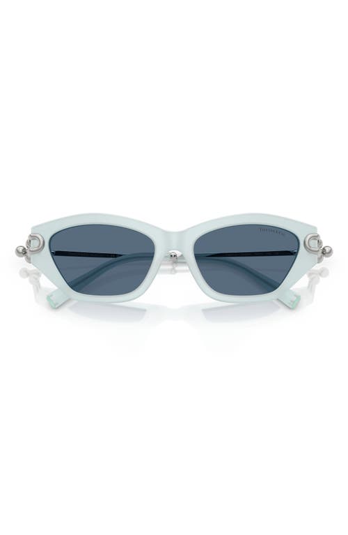 TIFFANY & CO TIFFANY & CO. 53MM CAT EYE SUNGLASSES