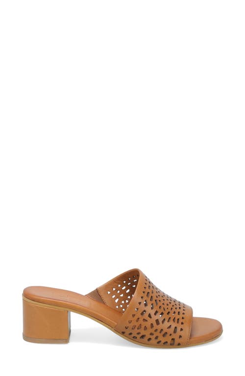 Miz Mooz Rylan Slide Sandal In Brandy