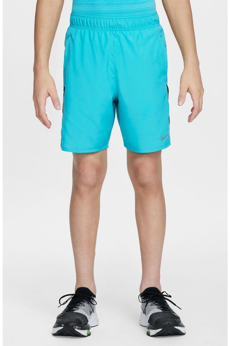 Kids' Dri-FIT Training Shorts, Main, color, DUSTY CACTUS/ SILVER