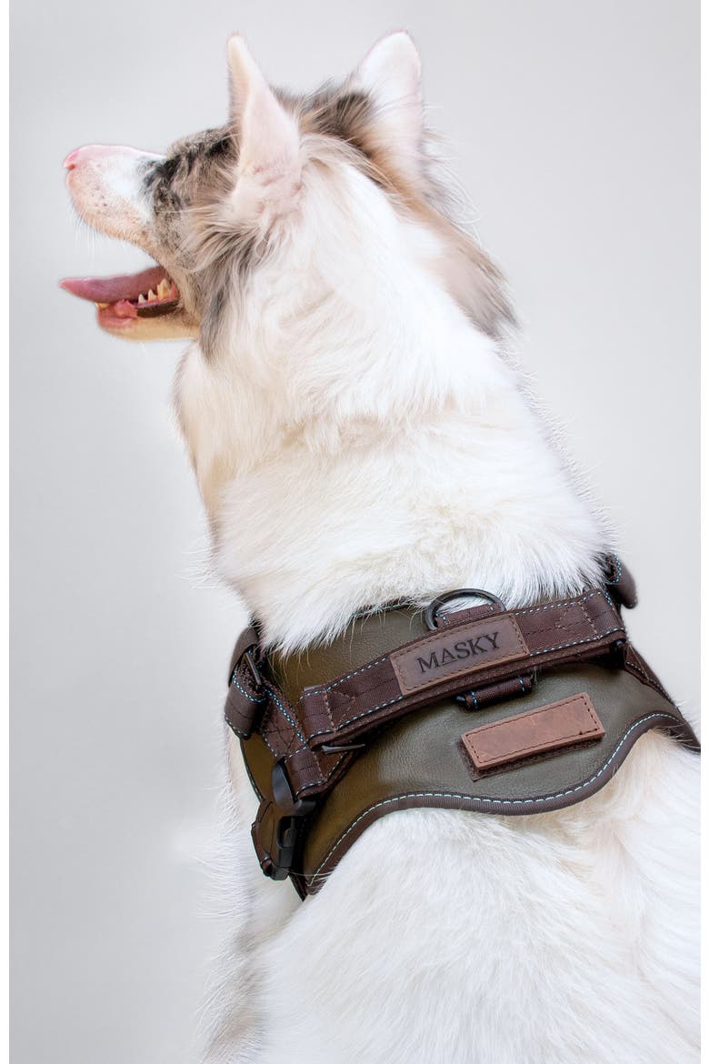 Signature Leather Dog Harness, Alternate, color, Medium Green