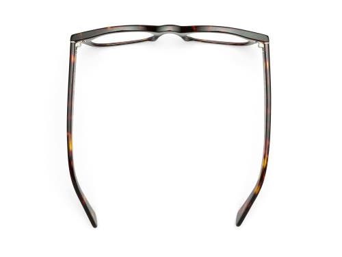 Caddis Bixby | Reading Glasses