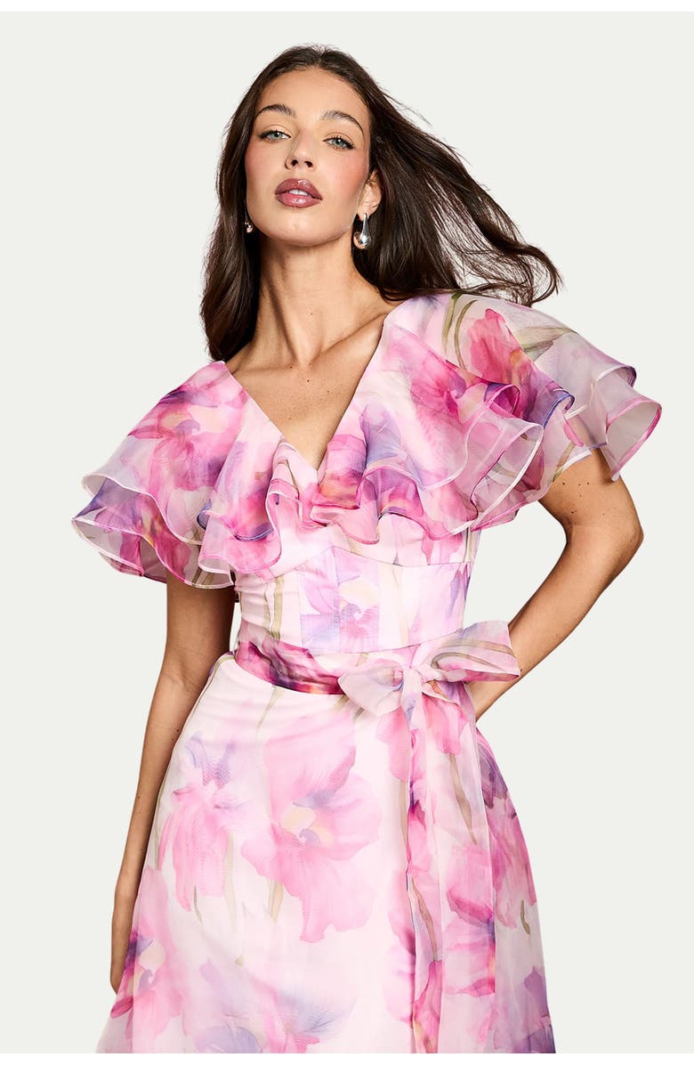 Coast Printed Organza Ruffle Sleeve Midi Dress, Alternate, color, Pink