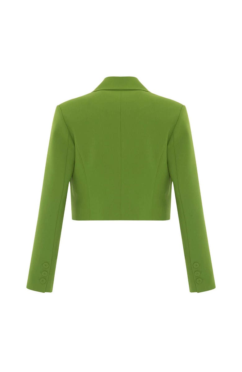 THEO The Label Harmonia Cropped Jacket, Alternate, color, 