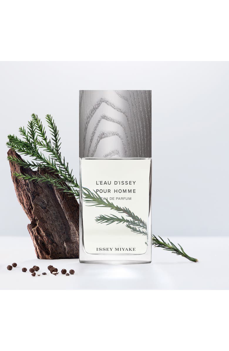 Issey Miyake L'Eau d'Issey Pour Homme Eau de Parfum, Alternate, color, 