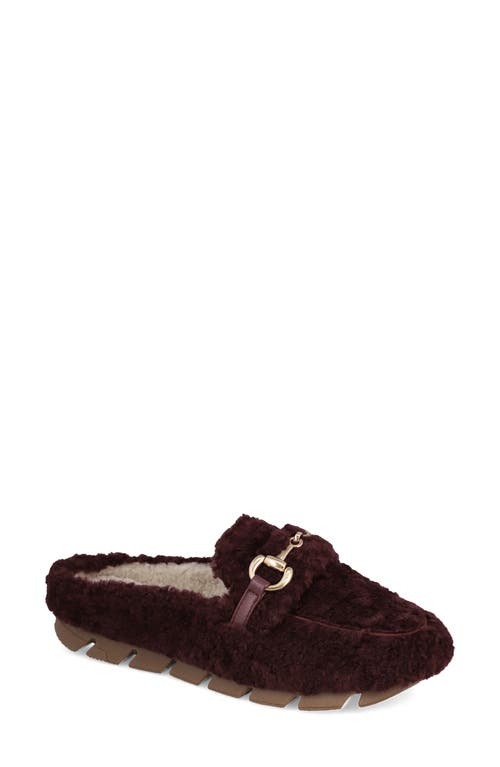 Mia Cocoa Faux Shearling Slipper In Black