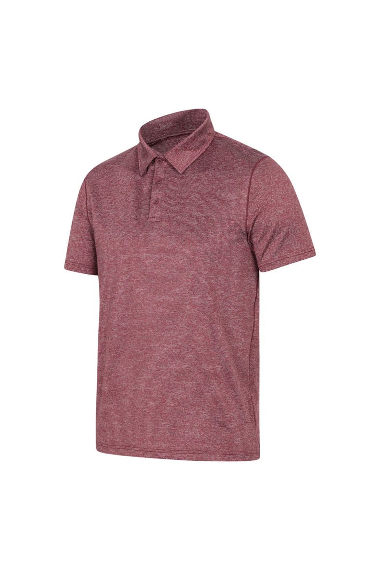 Agra Stripe Polo Shirt, Alternate, color, Burgundy