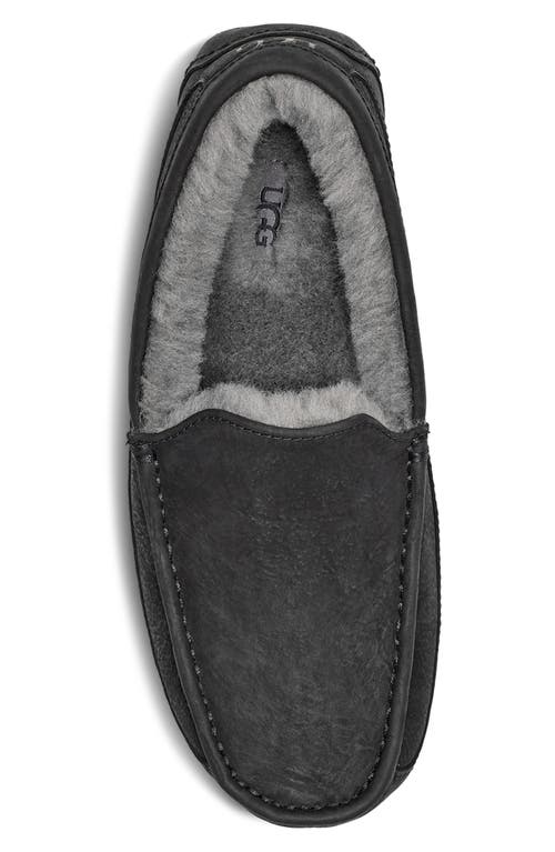 Ugg(r) Ascot Slipper In Black
