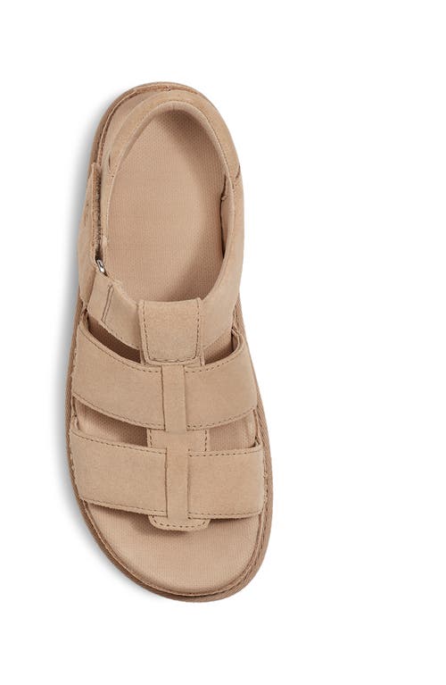 Ugg Goldenstar Strappy Platform Sandal In Driftwood