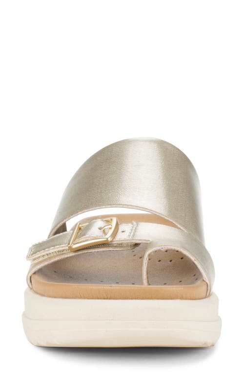 Baretraps Henrika Slide Sandal In Champagne