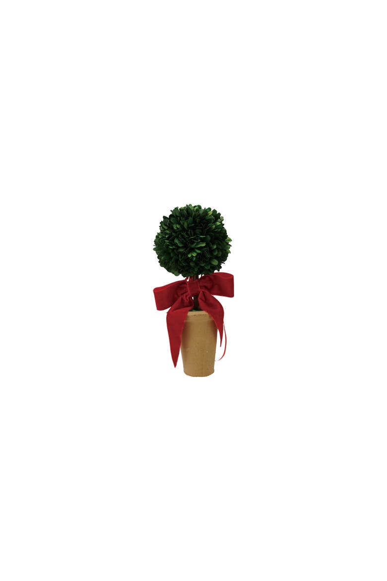 Boxwood Topiary in Pot with Velvet Bow, Main, color, Red and Terra-cotta