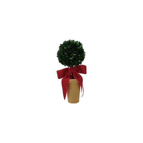 Boxwood Topiary in Pot with Velvet Bow