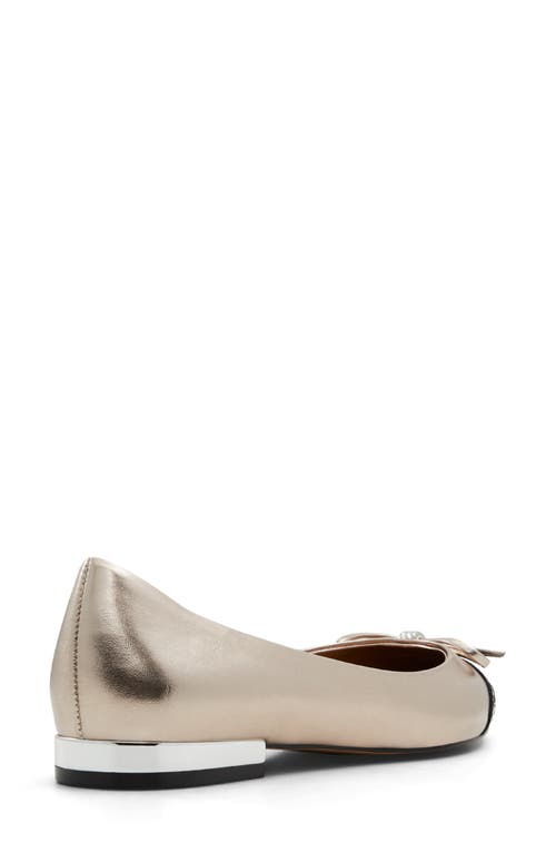 Aldo Women's Maddelyn Pointed-toe Ballerina Flats In Silver